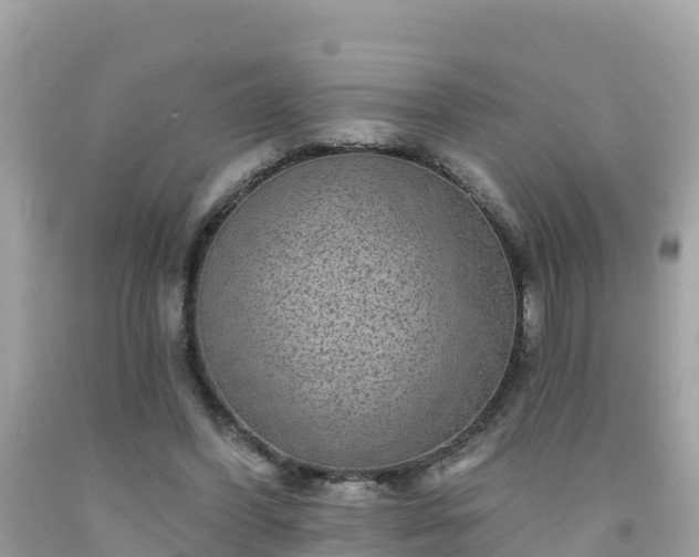 X0000092010396200709131539