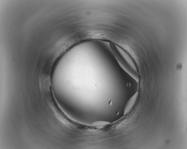 X0000092010397200709131539