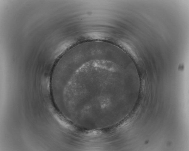 X0000092010398200709131539