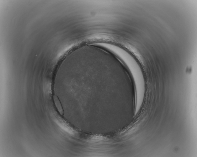 X0000092010399200709131539