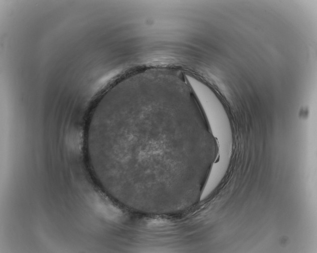 X0000092010400200709131539