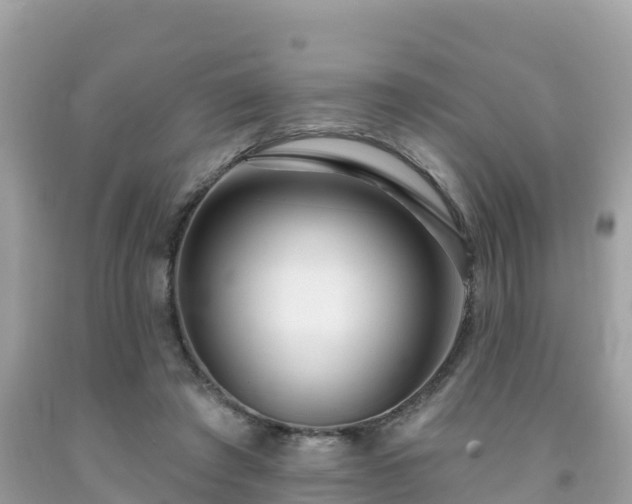 X0000092010401200709131539