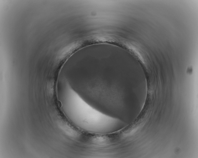 X0000092010402200709131539
