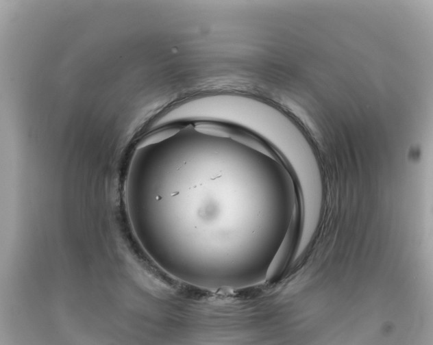 X0000092010403200709131539