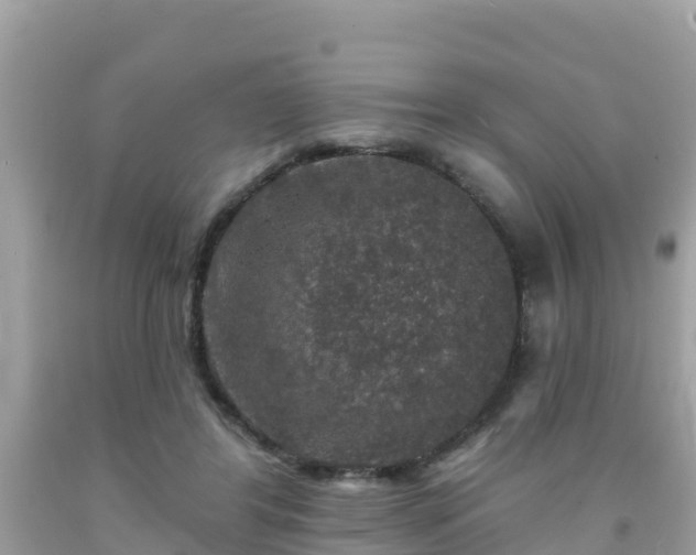 X0000092010404200709131539