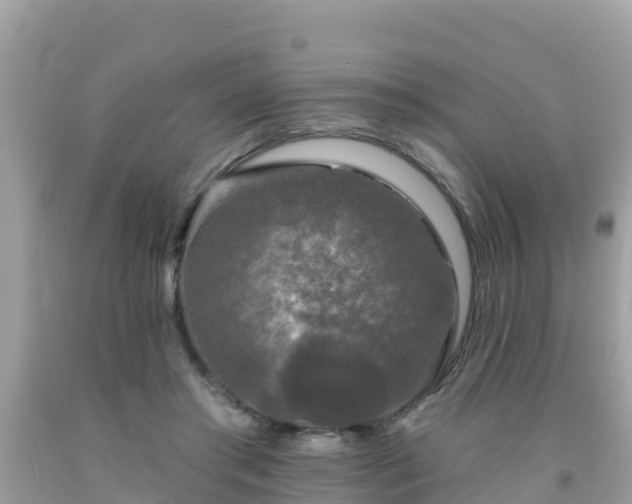 X0000092010405200709131539