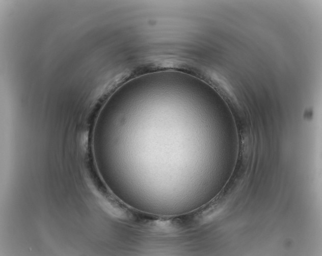 X0000092010406200709131539