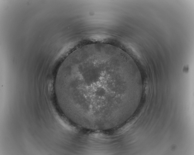 X0000092010408200709131539