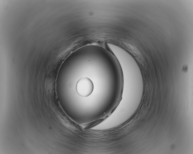 X0000092010409200709131539
