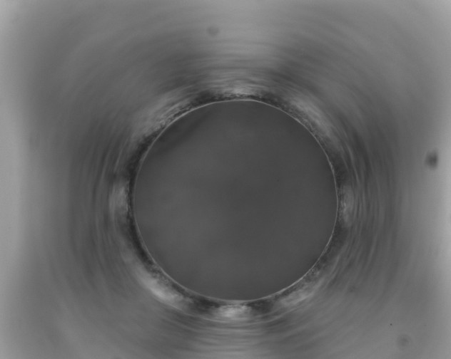 X0000092010410200709131539