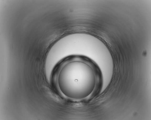 X0000092010411200709131539