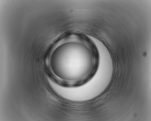 X0000092010412200709131539