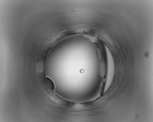 X0000092010413200709131539