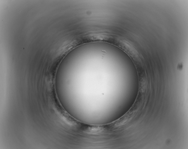 X0000092010414200709131539
