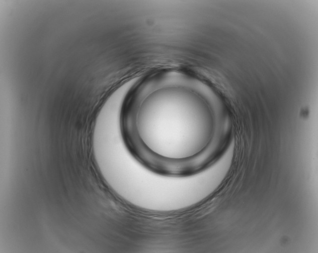 X0000092010416200709131539