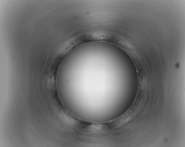 X0000092010418200709131539