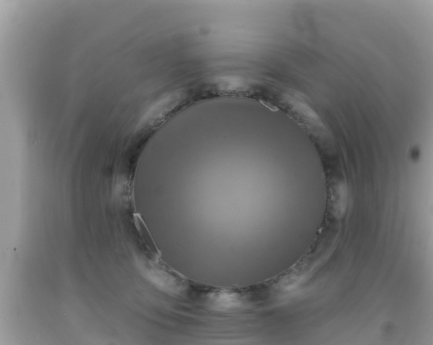 X0000092010419200709131539