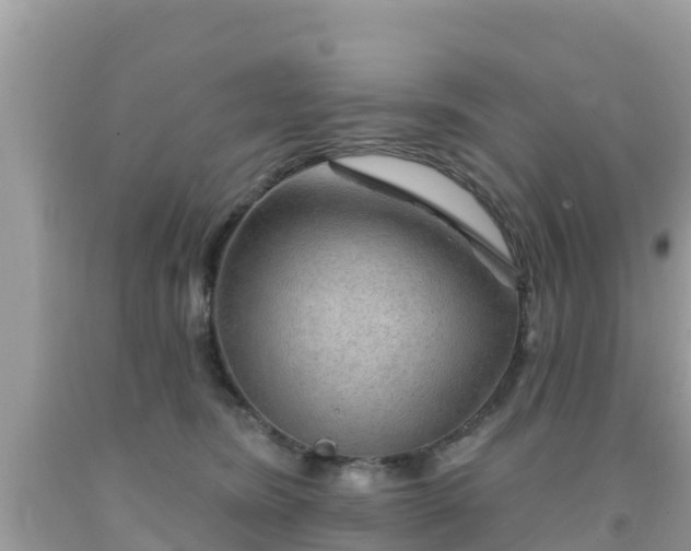 X0000092010420200709131539
