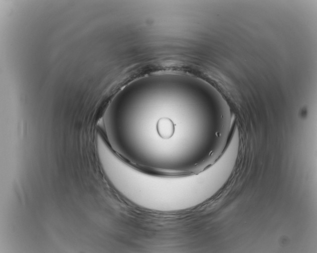X0000092010421200709131539