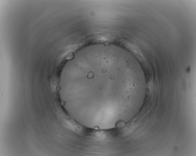 X0000092010423200709131539