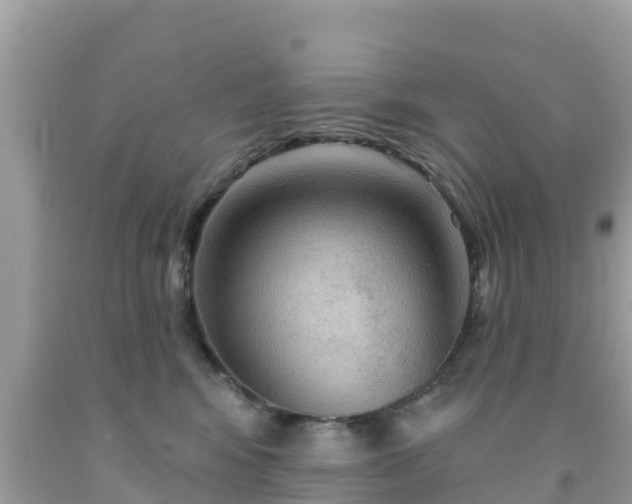 X0000092010424200709131539