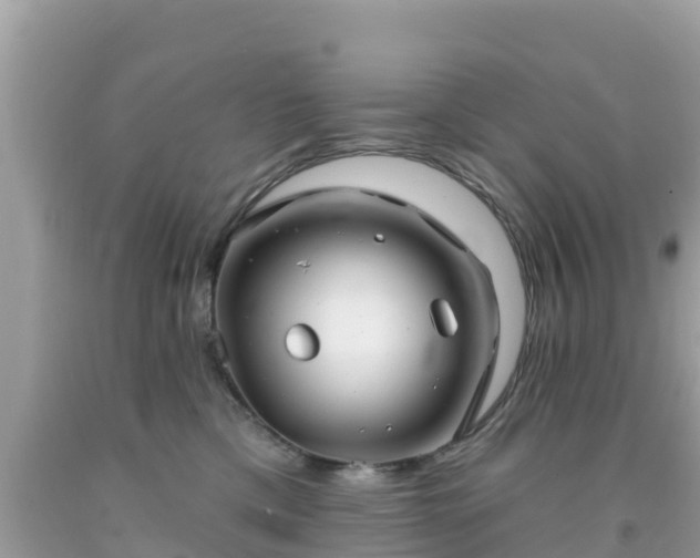X0000092010425200709131539