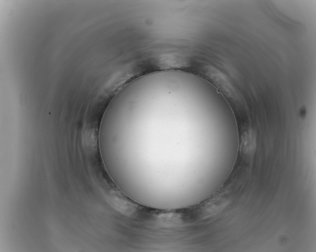X0000092010426200709131539
