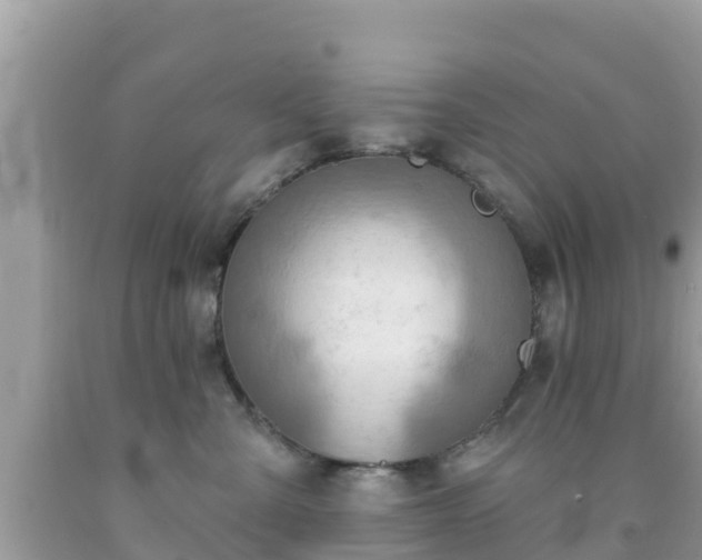 X0000092010427200709131539