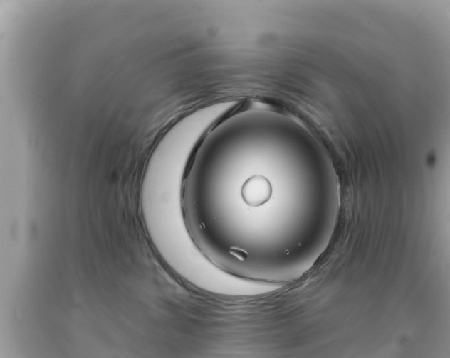 X0000092010428200709131539