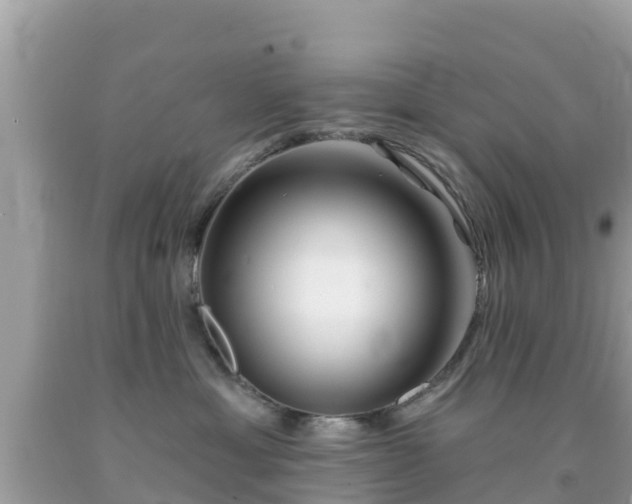 X0000092010429200709131539