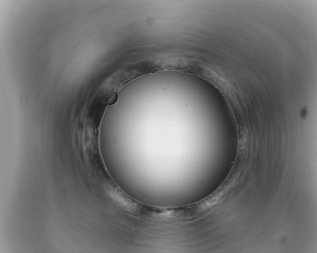 X0000092010430200709131538