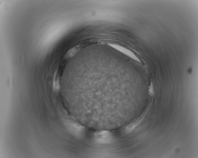 X0000092010431200709131538