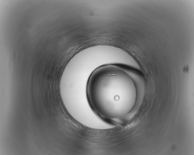 X0000092010432200709131538