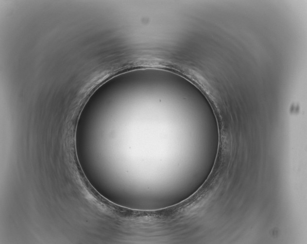 X0000092010433200709131538