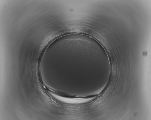 X0000092010434200709131538