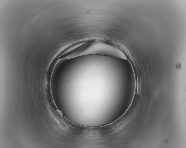 X0000092010435200709131538