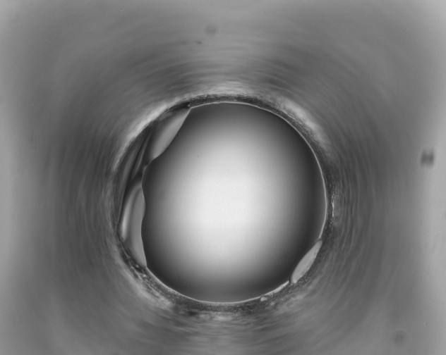 X0000092010436200709131538