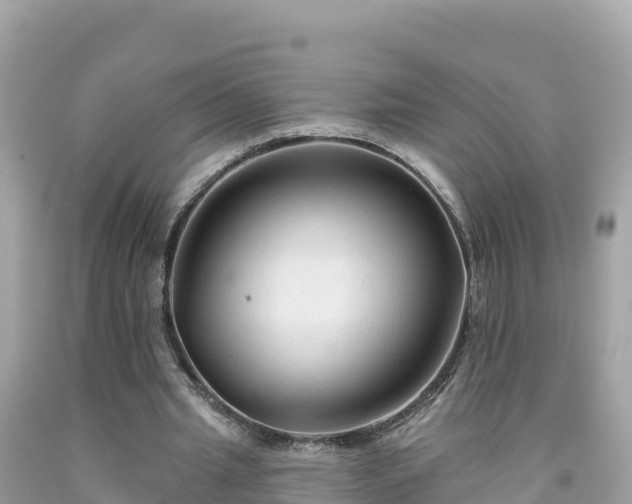 X0000092010437200709131538