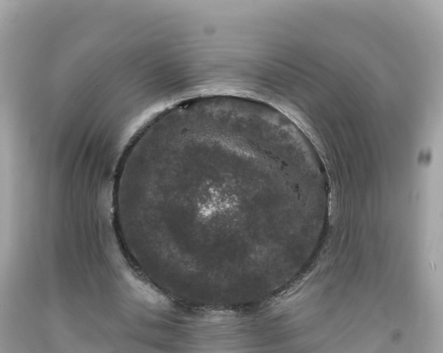 X0000092010438200709131538