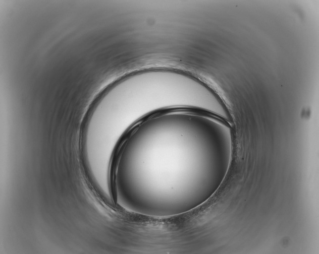 X0000092010439200709131538