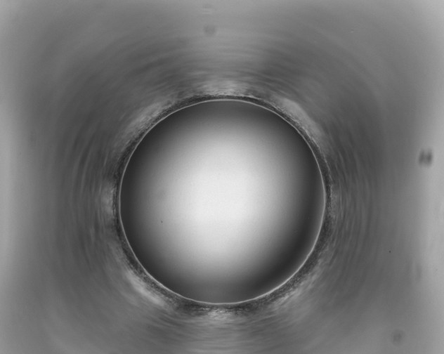X0000092010441200709131538