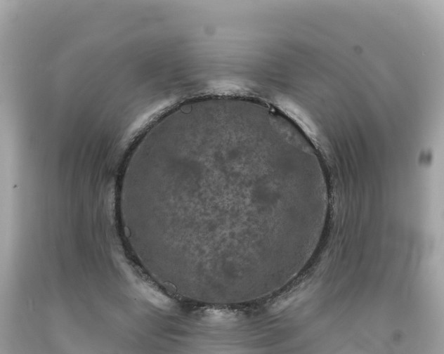 X0000092010442200709131538