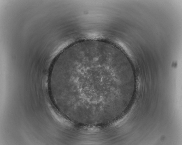 X0000092010443200709131538