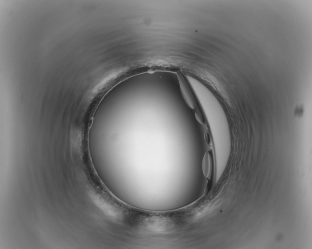 X0000092010444200709131538