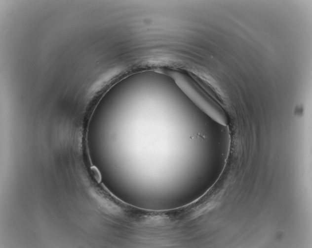X0000092010446200709131538