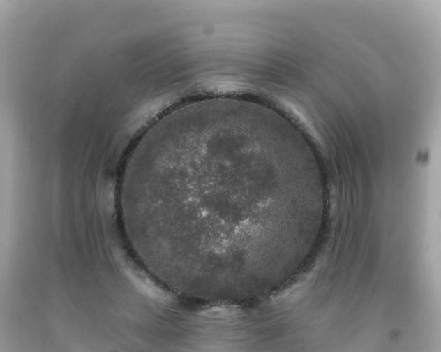 X0000092010447200709131538