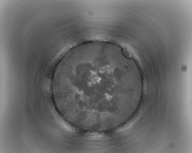 X0000092010449200709131538