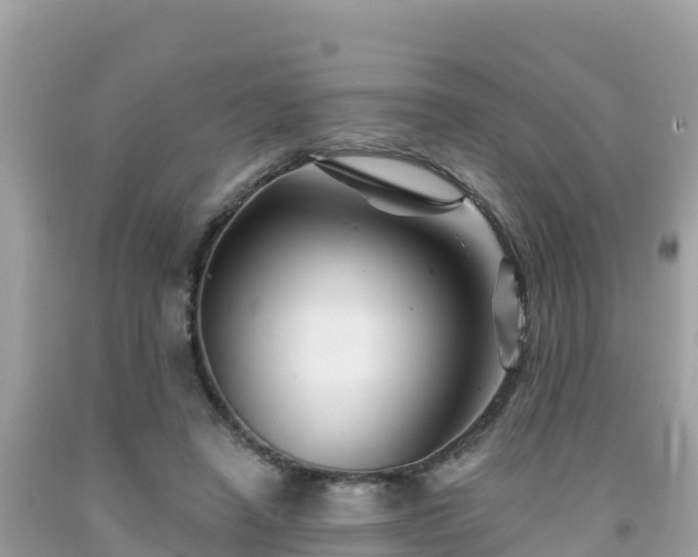 X0000092010450200709131538