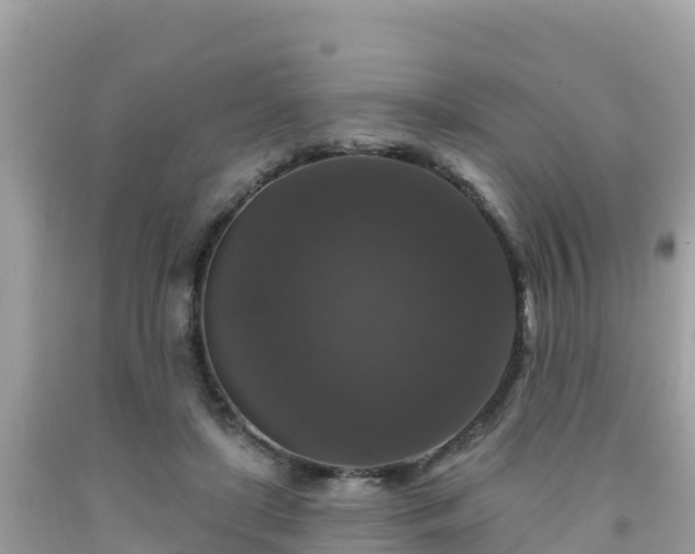 X0000092010451200709131538