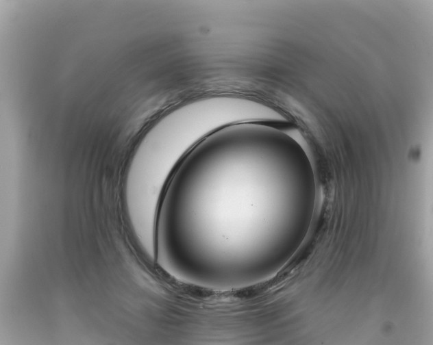 X0000092010452200709131538